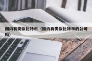 国内有类似比特币（国内有类似比特币的公司吗）