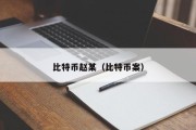 比特币赵某（比特币案）