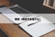 模因（模因污染是什么）