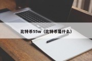 比特币55w（比特币是什么）