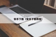 安币下载（安币下载教程）