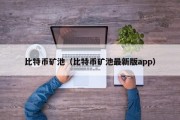 比特币矿池（比特币矿池最新版app）