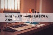 USD是什么货币（usd是什么货币汇率兑人民币）