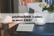 petaflops比特币（catherine wood 比特币）