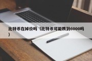 比特币在掉价吗（比特币可能跌到6000吗）