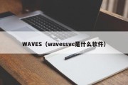 WAVES（wavessvc是什么软件）