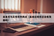 未来币与比特币共同点（未来比特币还会有发展吗）