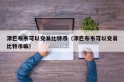 津巴布韦可以交易比特币（津巴布韦可以交易比特币嘛）